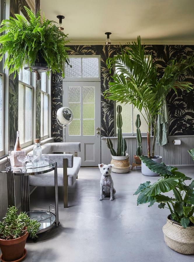 Dreamers Bnb Ουίλμινγκτον Εξωτερικό φωτογραφία